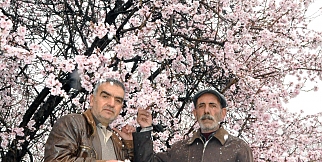 Mart Ayında Kar Yağışı