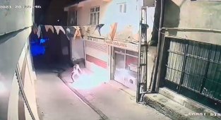 AK Parti Hani İlçe Binası'na molotoflu saldırıda 2 gözaltı