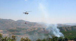 Bingöl'de iki gündür süren orman yangınına havadan ve karadan müdahale ediliyor