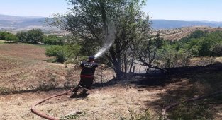 Bingöl'de örtü yangınları söndürüldü