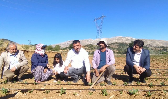 CHP heyeti tütün üreticileriyle tarlalarda buluştu
