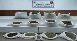 Diyarbakır'da 22 milyon kök kenevir ele geçirildi