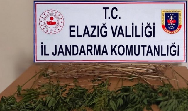 Elazığ'da uyuşturucuyla mücadele çalışması