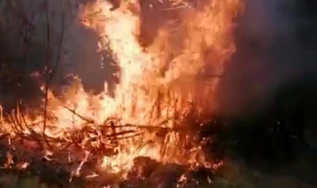 Elazığ'da yangın: 4 bahçe zarar gördü