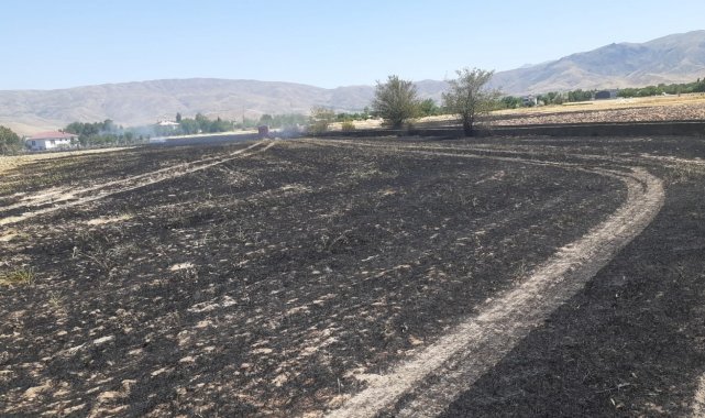 Elazığ'da yangın,arpa ekili arazi kül oldu