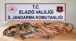 Erzurum'da çaldılar Elazığ'da yakalandılar