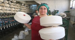 Hem hayatı hem işi paylaşıyorlar
