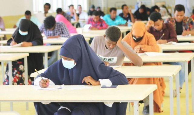 İnönü Üniversitesi yabancı sınavına ilgi