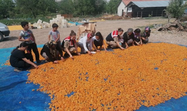 Jandarma'dan bahçede çalışan kadınlara eğitim