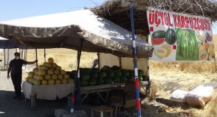Kavurucu sıcakta karpuz ve kavun satarak ekmek parasını kazanıyor