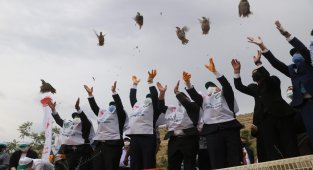 Keneyle mücadelede etkin rol oynayan keklikler, doğaya salındı