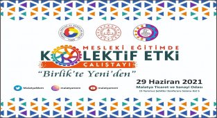 Mesleki eğitimde kolektif etki çalıştayı düzenlenecek