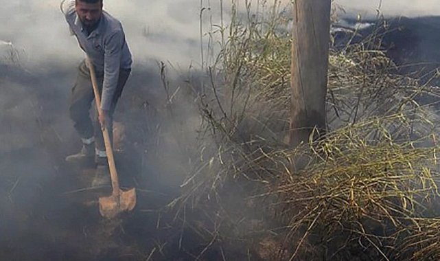 Şanlıurfa'da tarlada anız yakılması elektrik direklerine zarar verdi