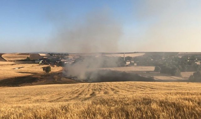 Tunceli'de 15 dönüm ekili alan yandı