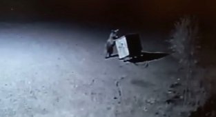 Tunceli'de ayılar, restorana geldi çöpleri karıştırırken görüntülendi