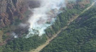 Tunceli'de orman yangını, ekipler müdahale ediyor