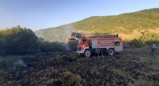 Tunceli'de ormanlık alana sıçrayan yangın büyümeden söndürüldü