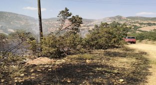 Tunceli'de ormanlık alanlardaki yangınlar söndürüldü