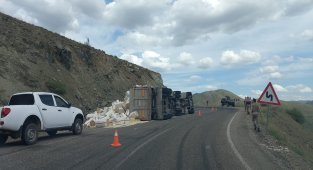 Tunceli'de saman yüklü kamyon devrildi: 2 yaralı