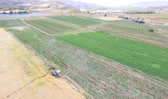 Tunceli'de sulu tarım ekonomiye 51 milyon TL katkı sağlayacak