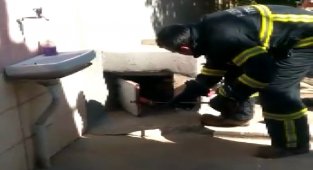 Yılan, kaçacak yer bulamayınca itfaiye erinin üzerine atladı