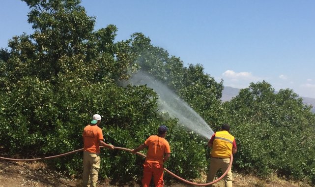 Bingöl'deki orman yangını söndürüldü, soğutma çalışmaları sürüyor
