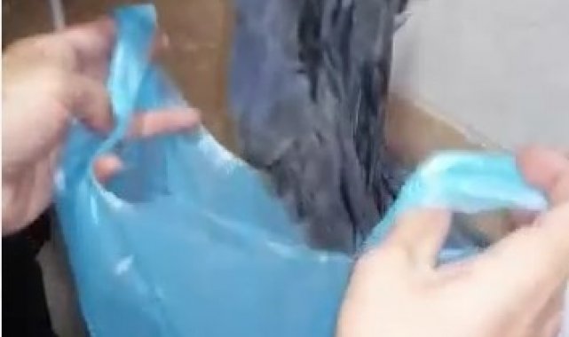 Havalandırma boşluğunda mahsur kalan yavru kargalar kurtarıldı