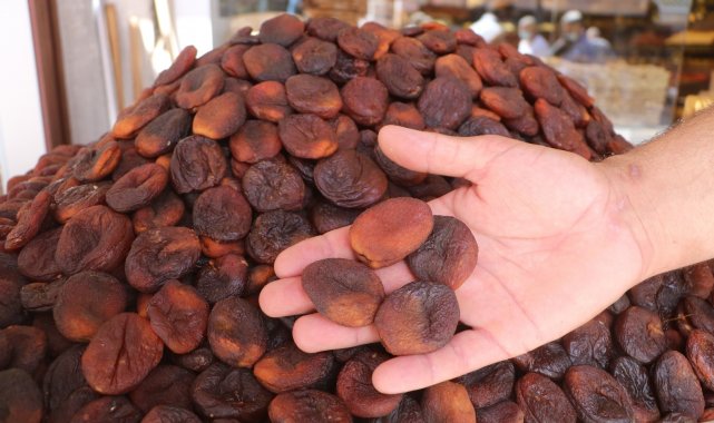 Ünü ülke sınırlarını aşan kuru kayısıda tahmini rekolte açıklandı