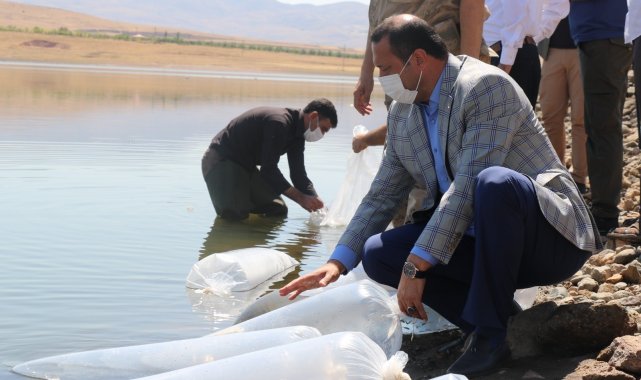 Elazığ'da 100 bin bin yavru sazan balığı gölete bırakıldı