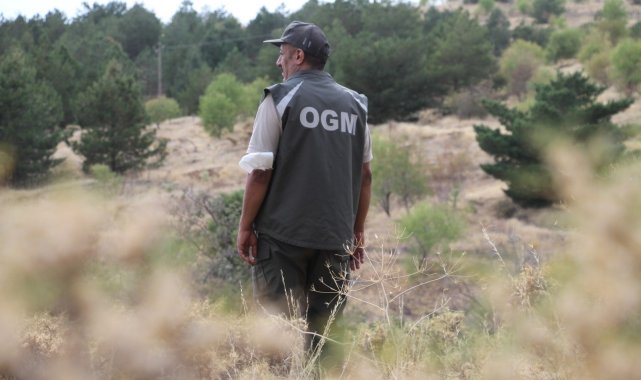 Elazığ'da, ormanlık alanlarda sıkı denetim