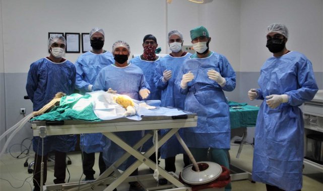 Araç çarpması sonucu bacakları kırılan yavru ayı ameliyata alındı
