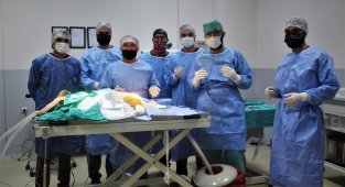 Araç çarpması sonucu bacakları kırılan yavru ayı ameliyata alındı