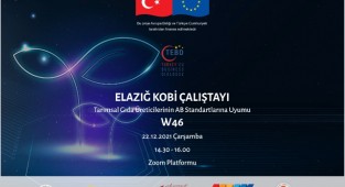 AB Standartlarına Uyumu Çalıştayı