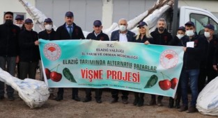 Elazığ'da Vişne Fidanı dağıtıldı