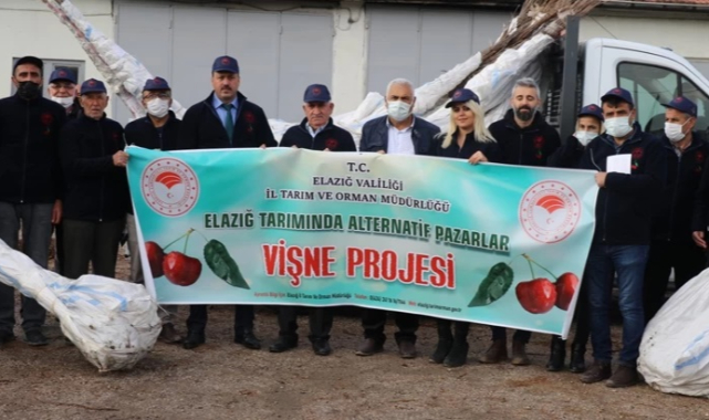 Elazığ'da Vişne Fidanı dağıtıldı