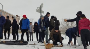 Öğrenciler Sokak Hayvanlarını Besledi