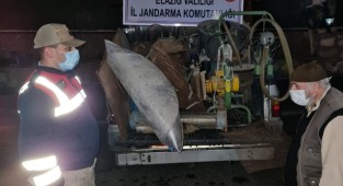 Jandarma Devriyeleri Suçlulara Göz Açtırmıyor