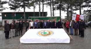 İpekböcekçiliği İçin Ücretsiz Dut Fidanı Dağıtımı Gerçekleşti