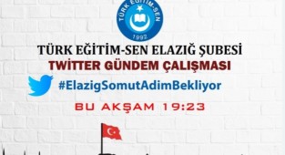 Türk Eğitim Sen Twitter Gündem Çalışması Yapacak
