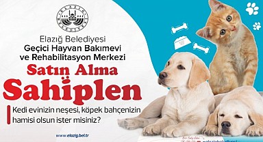 Satın Alma Sahiplen!