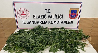 Jandarmadan eş zamanlı uyuşturucu operasyonu