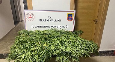 Jandarmadan Zehir Tacirine operasyon