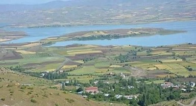 Babasını Bıçakla Öldürdü