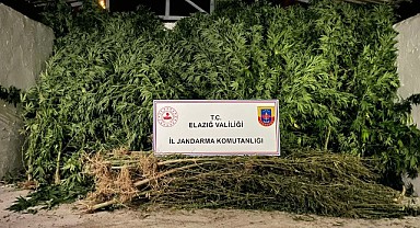 Jandarmadan Hint Keneviri Operasyonu