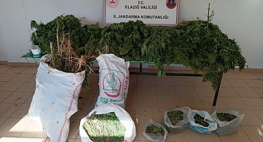 Elazığ’da Jandarma’dan uyuşturucu operasyonu