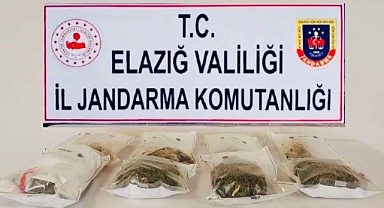 Jandarmadan Uyuşturucu Operasyonu