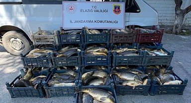 775 Kilo Kaçak Kaçak Balık Ele Geçirildi