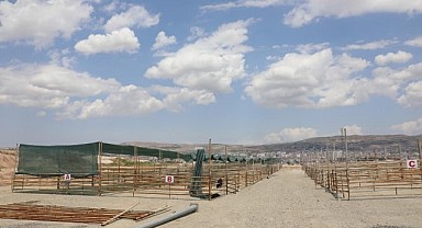 Elazığ Belediyesi, Kurban Bayramı Hazırlıklarını Sürdürüyor