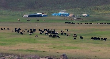 Elazığ’da Şap Hastalığı Kontrol Altına Alındı