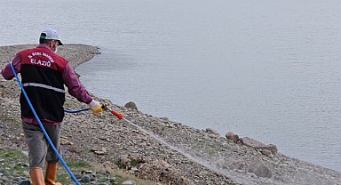 Elazığ İl Özel İdaresi’nden Larva ve Haşere İlaçlama Atağı